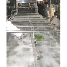 供应昊昌HC-120型蘑菇清洗机